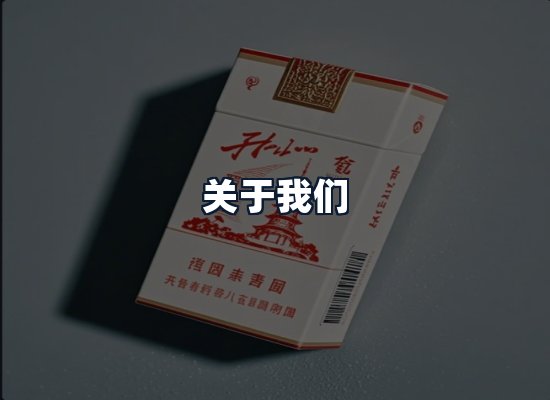 关于我们